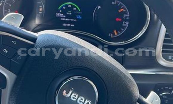 Tenga Tsaru Jeep Grand Cherokee Nhema Mota in Lusaka in Zambia Tenga Tsaru Jeep Grand Cherokee Nhema Mota in Lusaka in Zambia