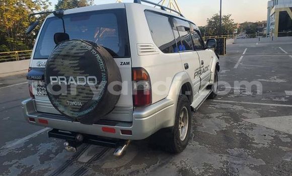 Tenga Tsaru Toyota Land Cruiser Prado Beige Mota in Lusaka in Zambia Tenga Tsaru Toyota Land Cruiser Prado Beige Mota in Lusaka in Zambia