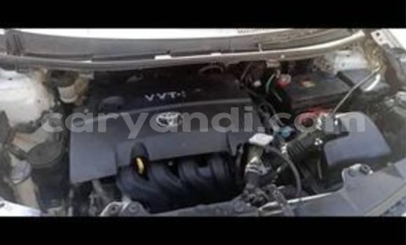 Tenga Tsaru Toyota IST Chena Mota in Lusaka in Zambia