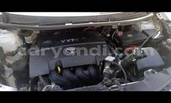 Buy Used Toyota IST White Car in Lusaka in Zambia Buy Used Toyota IST White Car in Lusaka in Zambia