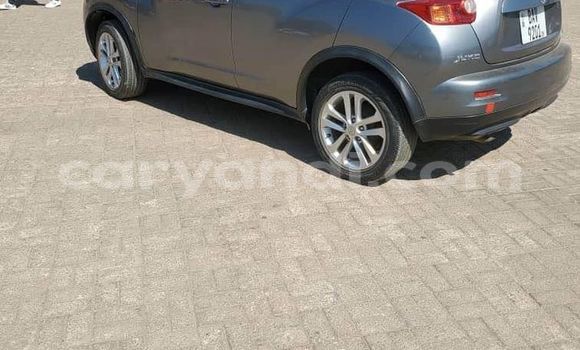 Buy Used Nissan Juke Brown Car in Lusaka in Zambia Buy Used Nissan Juke Brown Car in Lusaka in Zambia
