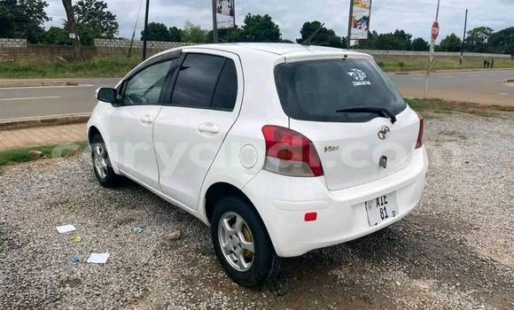 Acheter Occasion Voiture Toyota Vitz Blanc à Chipata, Zambie Acheter Occasion Voiture Toyota Vitz Blanc à Chipata, Zambie