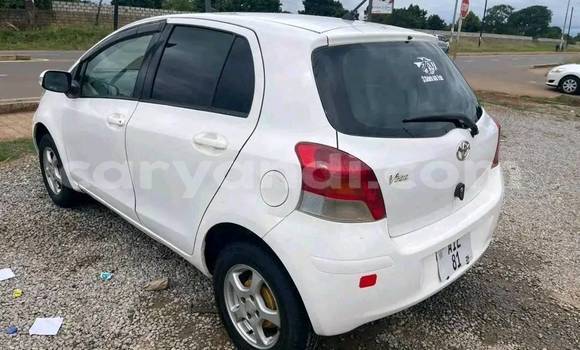 Acheter Occasion Voiture Toyota Vitz Blanc à Chipata, Zambie Acheter Occasion Voiture Toyota Vitz Blanc à Chipata, Zambie