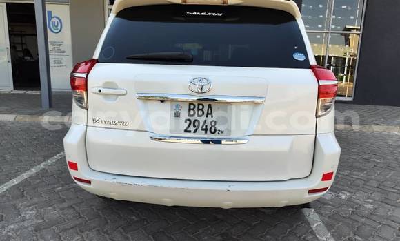 Tenga Tsaru Toyota Vanguard Chena Mota in Choma in Southern Tenga Tsaru Toyota Vanguard Chena Mota in Choma in Southern