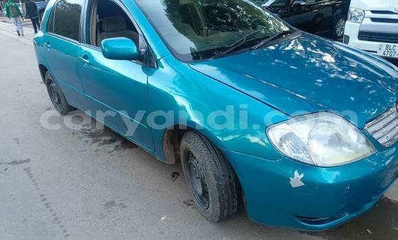 Tenga Tsaru Toyota Runx Bhuruu Mota in Chipata in Zambia Tenga Tsaru Toyota Runx Bhuruu Mota in Chipata in Zambia