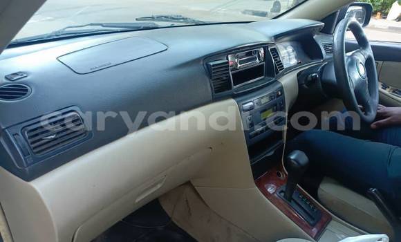 Tenga Tsaru Toyota Runx Bhuruu Mota in Chipata in Zambia Tenga Tsaru Toyota Runx Bhuruu Mota in Chipata in Zambia