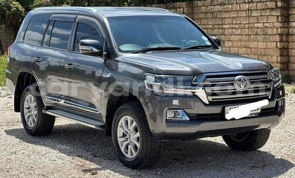 Buy Used Toyota Land Cruiser Other Car in Chinsali in Northern