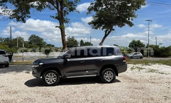 Buy Used Toyota Land Cruiser Other Car in Chinsali in Northern Buy Used Toyota Land Cruiser Other Car in Chinsali in Northern