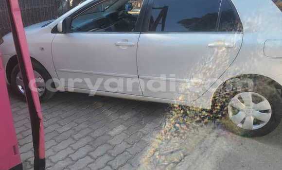 Tenga Tsaru Toyota Runx Chena Mota in Lusaka in Zambia Tenga Tsaru Toyota Runx Chena Mota in Lusaka in Zambia