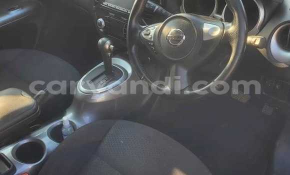 Tenga Tsaru Nissan Juke Nhema Mota in Chinsali in Northern Tenga Tsaru Nissan Juke Nhema Mota in Chinsali in Northern