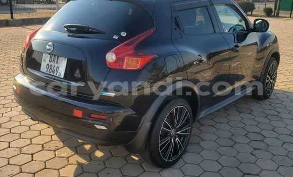 Tenga Tsaru Nissan Juke Nhema Mota in Chinsali in Northern Tenga Tsaru Nissan Juke Nhema Mota in Chinsali in Northern