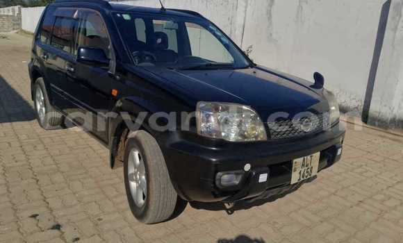 Tenga Tsaru Nissan X–Trail Nhema Mota in Chilanga in Lusaka Tenga Tsaru Nissan X–Trail Nhema Mota in Chilanga in Lusaka