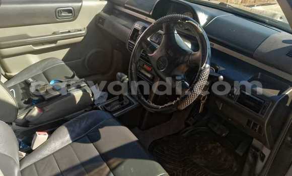 Tenga Tsaru Nissan X–Trail Nhema Mota in Chilanga in Lusaka Tenga Tsaru Nissan X–Trail Nhema Mota in Chilanga in Lusaka