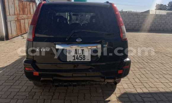 Tenga Tsaru Nissan X–Trail Nhema Mota in Chilanga in Lusaka Tenga Tsaru Nissan X–Trail Nhema Mota in Chilanga in Lusaka