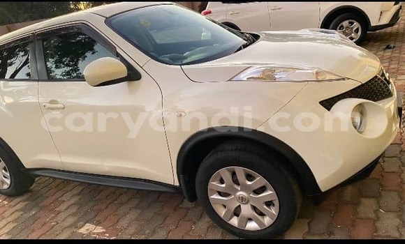 Tenga Tsaru Nissan Juke Chena Mota in Chinsali in Northern Tenga Tsaru Nissan Juke Chena Mota in Chinsali in Northern