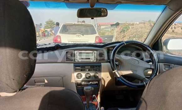 Tenga Tsaru Toyota Corolla Zvimwe Mota in Chililabombwe in Copperbelt Tenga Tsaru Toyota Corolla Zvimwe Mota in Chililabombwe in Copperbelt