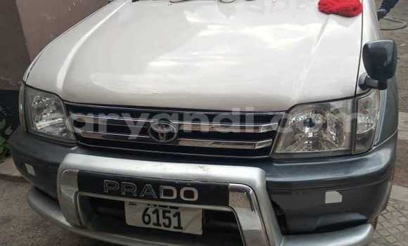 Buy Used Toyota Prado White Car in Chipata in Zambia
