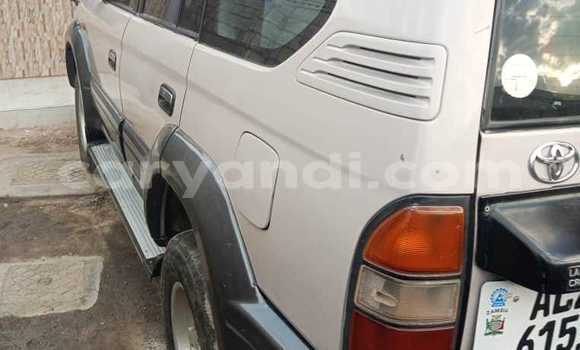 Tenga Tsaru Toyota Prado Chena Mota in Chipata in Zambia Tenga Tsaru Toyota Prado Chena Mota in Chipata in Zambia