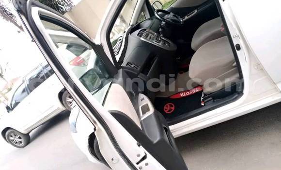 Buy Used Toyota Ractis White Car in Chingola in Zambia Buy Used Toyota Ractis White Car in Chingola in Zambia