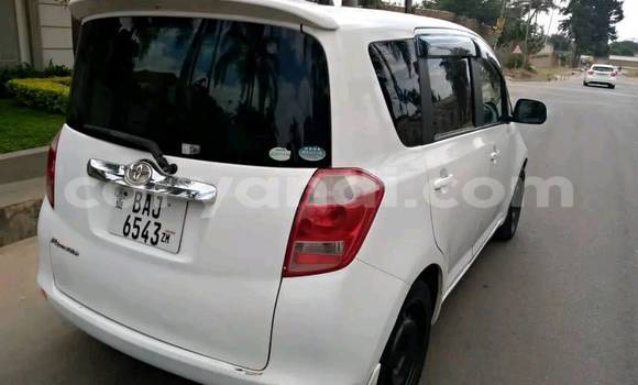 Buy Used Toyota Ractis White Car in Chingola in Zambia Buy Used Toyota Ractis White Car in Chingola in Zambia