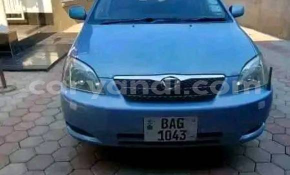 Acheter Occasion Voiture Toyota Runx Autre à Chingola, Zambie