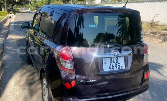 Buy Used Toyota Ractis Black Car in Kasama in Zambia Buy Used Toyota Ractis Black Car in Kasama in Zambia
