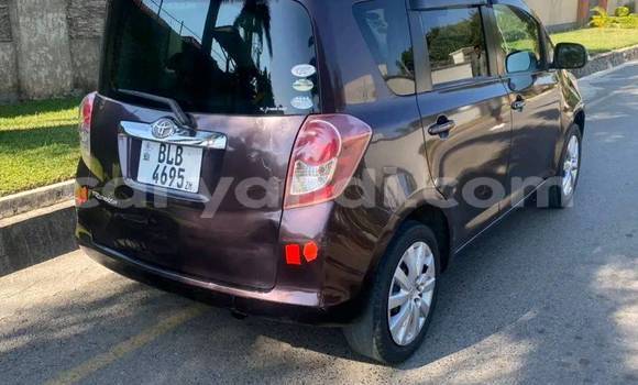 Buy Used Toyota Ractis Black Car in Kasama in Zambia Buy Used Toyota Ractis Black Car in Kasama in Zambia