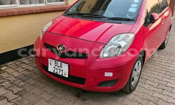 Buy Used Toyota Runx Red Car in Chingola in Zambia Buy Used Toyota Runx Red Car in Chingola in Zambia