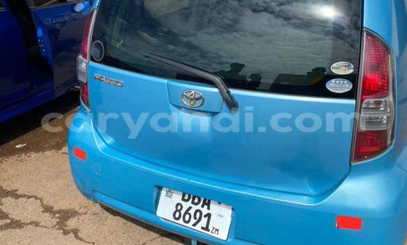 Buy Used Toyota Passo Blue Car in Chinsali in Northern Buy Used Toyota Passo Blue Car in Chinsali in Northern