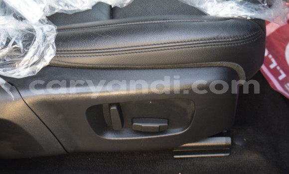 Tenga Tsaru Range Rover Evoque Nhema Mota in Lusaka in Zambia Tenga Tsaru Range Rover Evoque Nhema Mota in Lusaka in Zambia