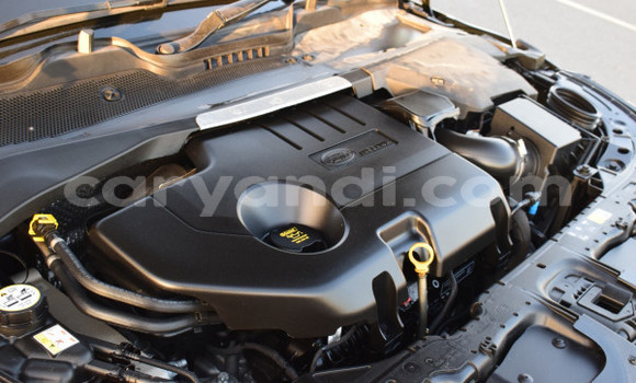 Tenga Tsaru Range Rover Evoque Nhema Mota in Lusaka in Zambia Tenga Tsaru Range Rover Evoque Nhema Mota in Lusaka in Zambia