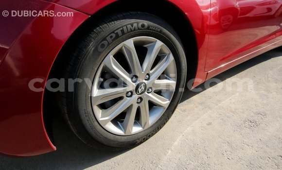 Buy Import Hyundai Elantra Red Car in Import - Dubai in Zambia