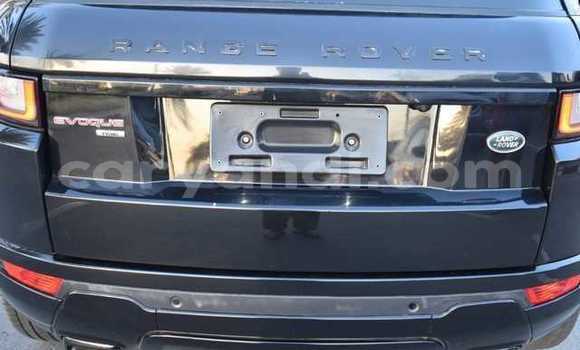 Tenga Tsaru Land Rover Range Rover Evoque Nhema Mota in Lusaka in Zambia Tenga Tsaru Land Rover Range Rover Evoque Nhema Mota in Lusaka in Zambia
