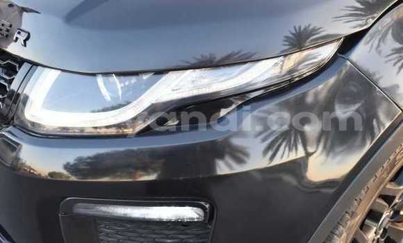 Tenga Tsaru Land Rover Range Rover Evoque Nhema Mota in Lusaka in Zambia Tenga Tsaru Land Rover Range Rover Evoque Nhema Mota in Lusaka in Zambia