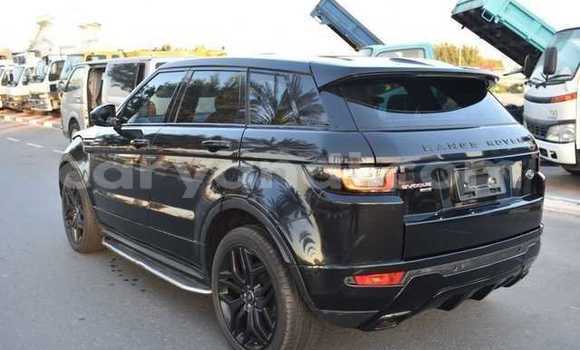 Tenga Tsaru Land Rover Range Rover Evoque Nhema Mota in Lusaka in Zambia Tenga Tsaru Land Rover Range Rover Evoque Nhema Mota in Lusaka in Zambia