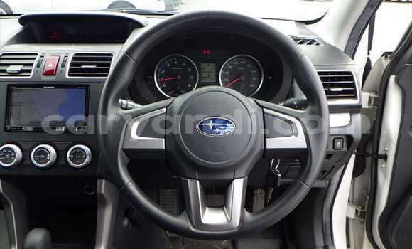 Tenga Tsaru Subaru Forester Chena Mota in Lusaka in Zambia Tenga Tsaru Subaru Forester Chena Mota in Lusaka in Zambia