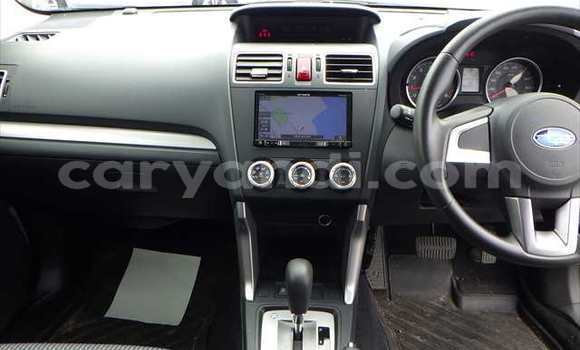 Tenga Tsaru Subaru Forester Chena Mota in Lusaka in Zambia Tenga Tsaru Subaru Forester Chena Mota in Lusaka in Zambia