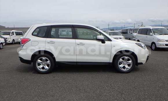 Tenga Tsaru Subaru Forester Chena Mota in Lusaka in Zambia Tenga Tsaru Subaru Forester Chena Mota in Lusaka in Zambia