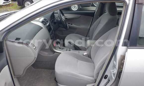 Tenga Tsaru Toyota Axio Sirivha Mota in Lusaka in Zambia Tenga Tsaru Toyota Axio Sirivha Mota in Lusaka in Zambia