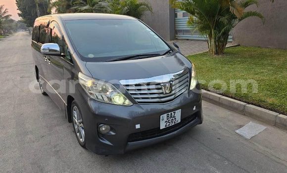 Tenga Tsaru Toyota Alphard Zvimwe Mota in Chililabombwe in Copperbelt Tenga Tsaru Toyota Alphard Zvimwe Mota in Chililabombwe in Copperbelt