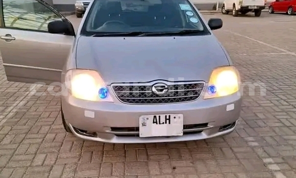 Acheter Occasion Voiture Toyota Runx Autre à Lusaka, Zambie Acheter Occasion Voiture Toyota Runx Autre à Lusaka, Zambie