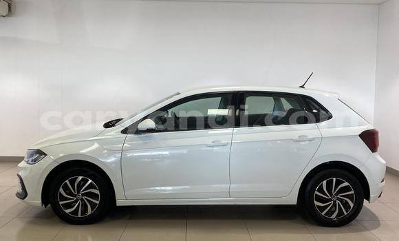 Buy Used Volkswagen Polo White Car in Kitwe in Zambia Buy Used Volkswagen Polo White Car in Kitwe in Zambia
