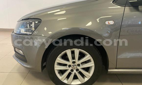 Tenga Tsaru Volkswagen Polo Sirivha Mota in Lusaka in Zambia Tenga Tsaru Volkswagen Polo Sirivha Mota in Lusaka in Zambia