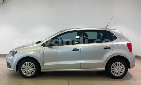 Buy Used Volkswagen Polo Silver Car in Chingola in Zambia Buy Used Volkswagen Polo Silver Car in Chingola in Zambia