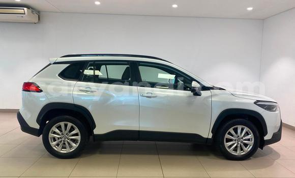 Tenga Tsaru Toyota Corolla Cross Sirivha Mota in Kitwe in Zambia Tenga Tsaru Toyota Corolla Cross Sirivha Mota in Kitwe in Zambia