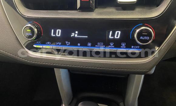 Tenga Tsaru Toyota Corolla Cross Sirivha Mota in Kitwe in Zambia Tenga Tsaru Toyota Corolla Cross Sirivha Mota in Kitwe in Zambia