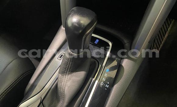 Tenga Tsaru Toyota Corolla Cross Sirivha Mota in Kitwe in Zambia Tenga Tsaru Toyota Corolla Cross Sirivha Mota in Kitwe in Zambia