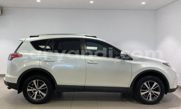 Buy Used Toyota RAV4 White Car in Chinsali in Northern Buy Used Toyota RAV4 White Car in Chinsali in Northern