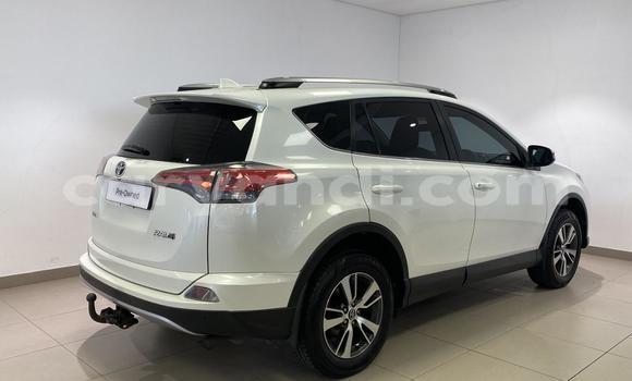 Buy Used Toyota RAV4 White Car in Chinsali in Northern Buy Used Toyota RAV4 White Car in Chinsali in Northern