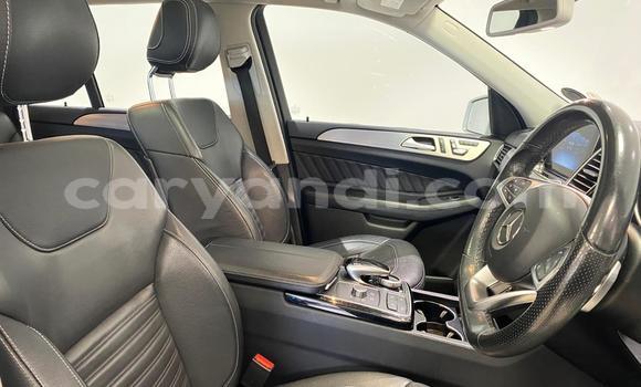 Tenga Tsaru Mercedes‒Benz GLE Sirivha Mota in Lusaka in Zambia Tenga Tsaru Mercedes‒Benz GLE Sirivha Mota in Lusaka in Zambia